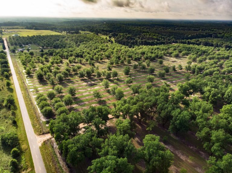 Pecan Plantation Granbury, Texas
